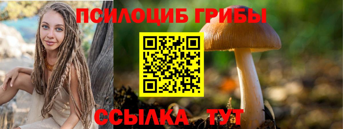 Галлюциногенные грибы GOLDEN TEACHER  Вход с VPN  Великий Новгород 
