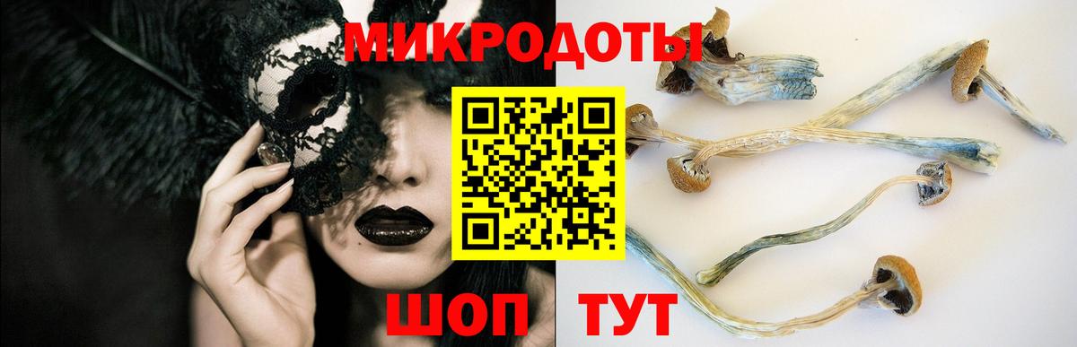 Псилоцибиновые грибы Cubensis Великий Новгород